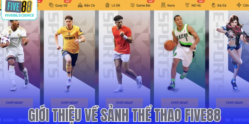 Thể Thao Five88 Trực Tiếp Tỷ Lệ Kèo Nhà Cái Hấp Dẫn Nhất - playmoro88