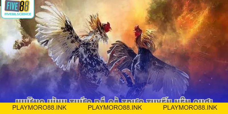 Đá Gà Five88 - Đấu Trường Kê Chiến Trực Tuyến Uy Tín 2026 - playmoro88