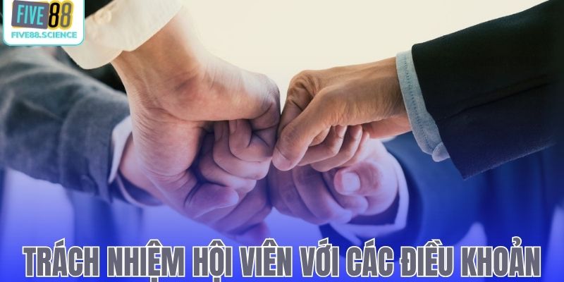 Điều Kiện Và Điều Khoản - Quy Tắc Vận Hành Chính Tại Five88 - playmoro88